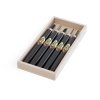 Set of Carving Mini-Chisels SAKURA Nihon - 5 pieces