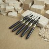 Set of Carving Mini-Chisels SAKURA Nihon - 5 Pieces