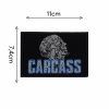519 carcass