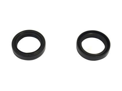 p40fork455036 main