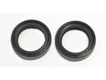p40fork455032 main