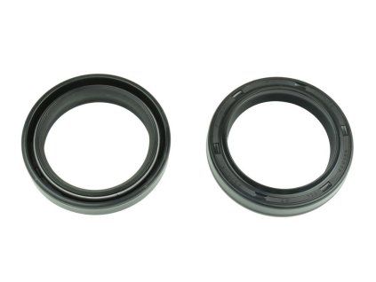 p40fork455040 main