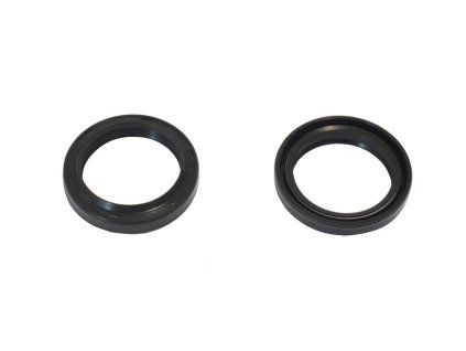 p40fork455049 main