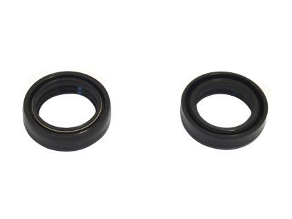p40fork455026 main