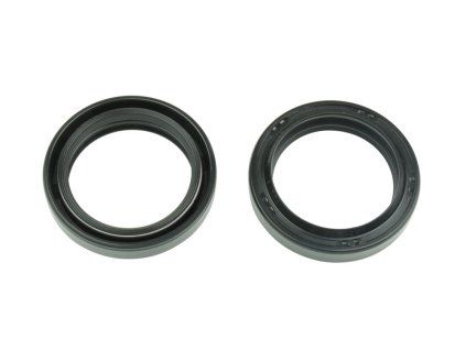 p40fork455017 main