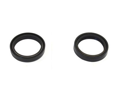 p40fork455116 main