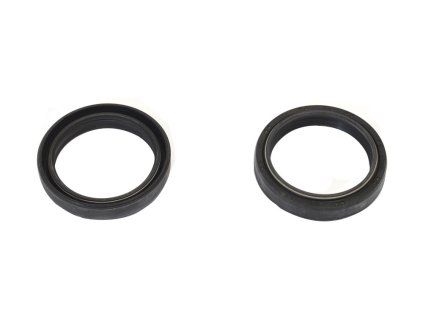 p40fork455086 main