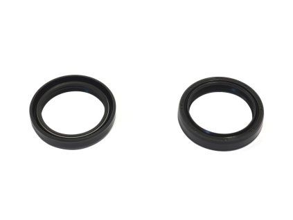 p40fork455089 main