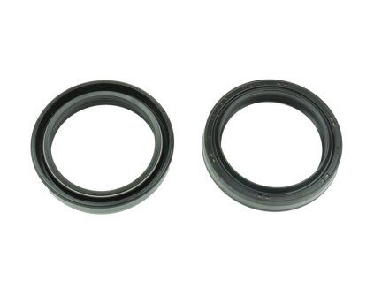 p40fork455090 main