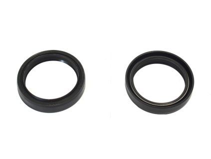 p40fork455092 main