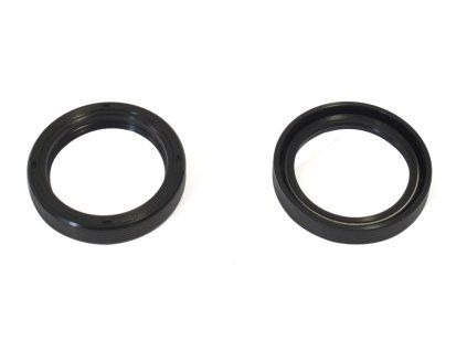 p40fork455087 main