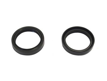 p40fork455105 main