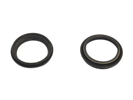 p40fork455131 main