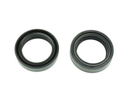 p40fork455134 main