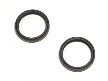 p40fork455139 main