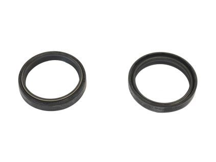 p40fork455141 main