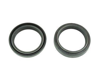 p40fork455148 main