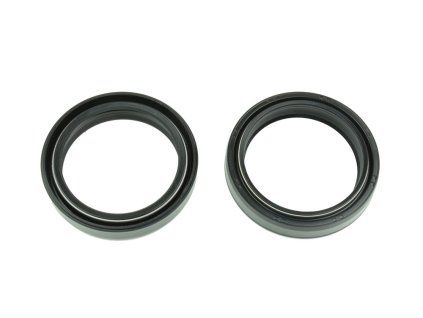 p40fork455153 main