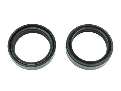 p40fork455156 main