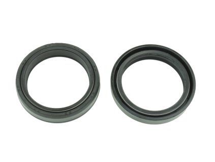 p40fork455159 main