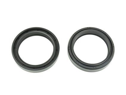 p40fork455160 main