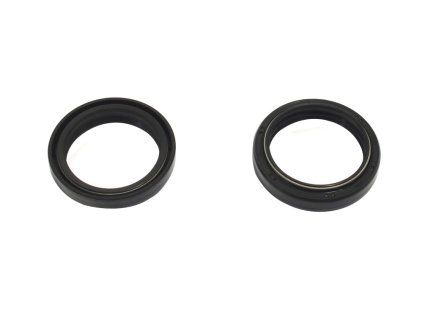 p40fork455166 main