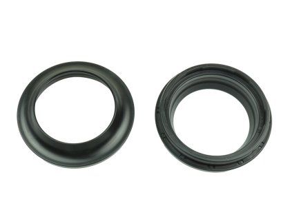 p40fork455176 main