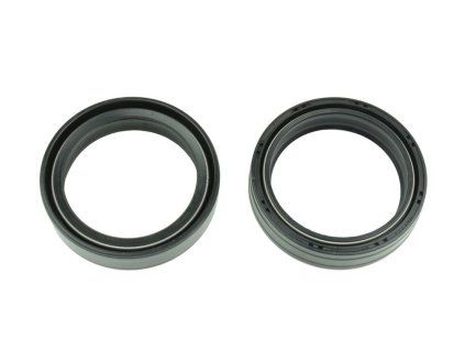 p40fork455183 main