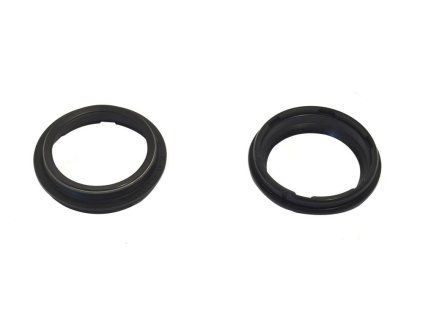p40fork455192 main