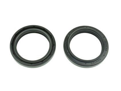 p40fork455194 main