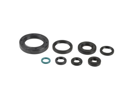 Sada gufer motoru ATHENA P400210400252