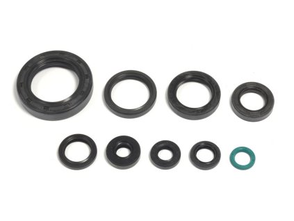 Sada gufer motoru ATHENA P400210400250