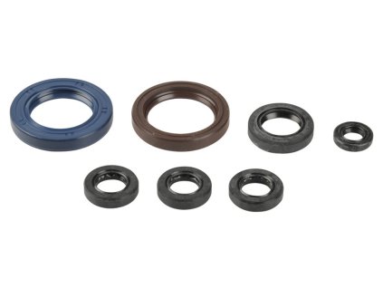 Sada gufer motoru ATHENA P400270400002