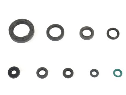 Sada gufer motoru ATHENA P400210400249