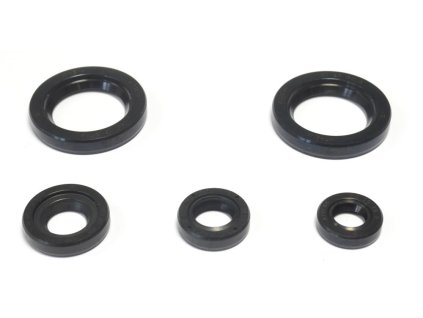 Sada gufer motoru ATHENA P400270400060