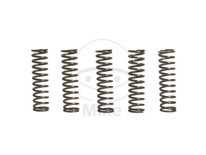 Sada spojkových pružin EBC CSK067 5