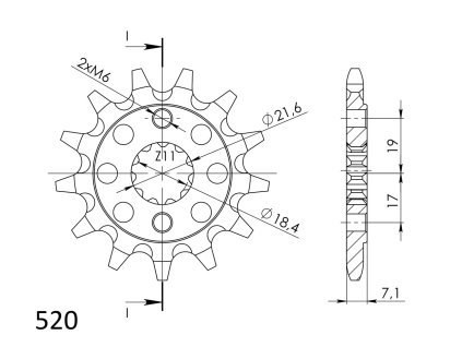 Řetězové kolečko SUPERSPROX CST-1321:14 14 zubů, 520