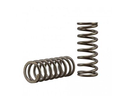 clutch springs ebc