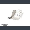 PK007 800x800
