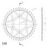drawing rfe 488 42