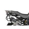 a shad10295