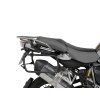 a shad10295 2