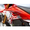 673 6 arctic leopard exe 880 red 462