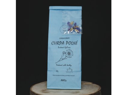 Chrpa polní