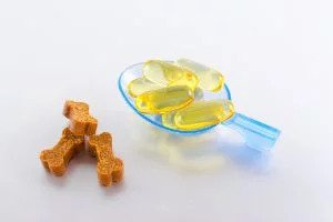 7 výhod Omega-3 pre psov: Zistite, prečo je to nevyhnutné