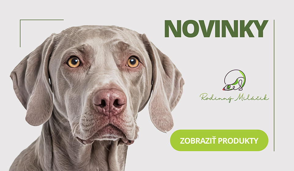 novinky