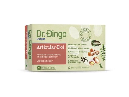 DR. DINGO KĹBOVÁ VÝŽIVA 30g