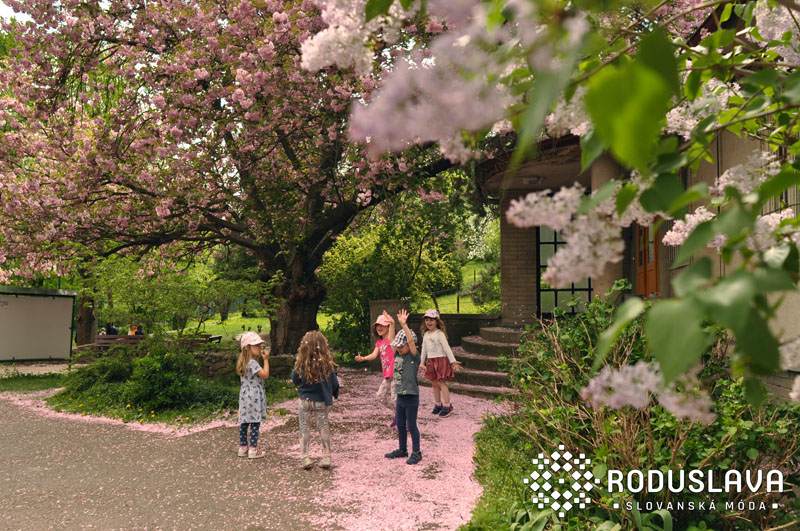 Uvažujme aneb zdravý selský rozum