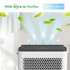 R-91312 True Ion & Air Purifier, g, web