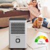 R-91312 True Ion & Air Purifier, i, web